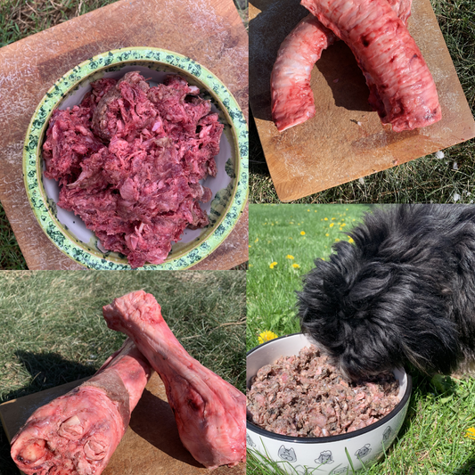 All Beef Bundle + Free Shipping
