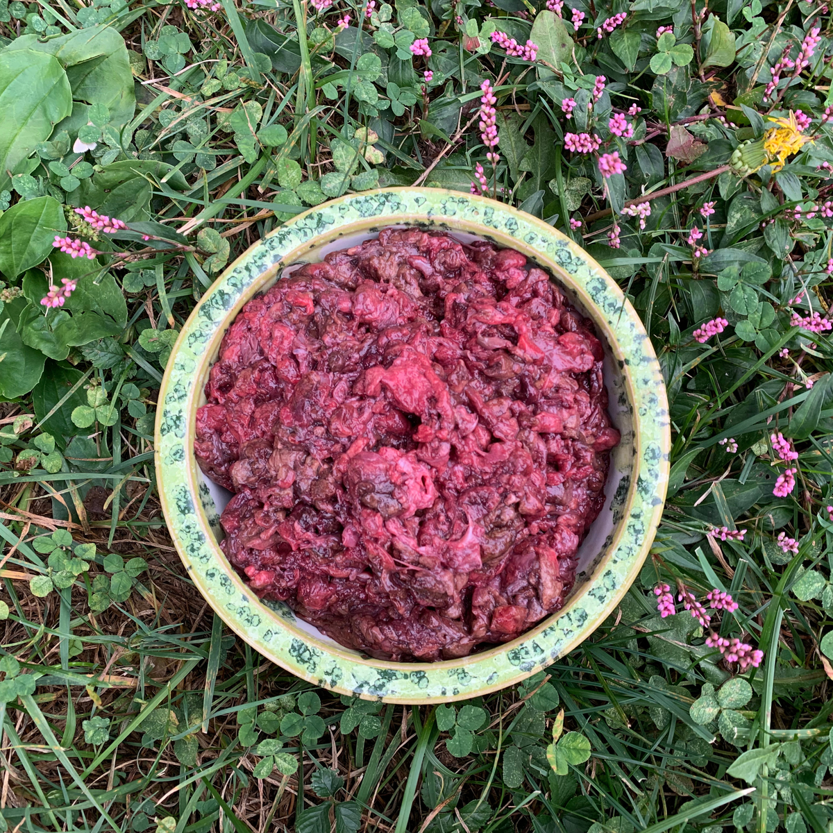 Ground Bison Lung-28 oz