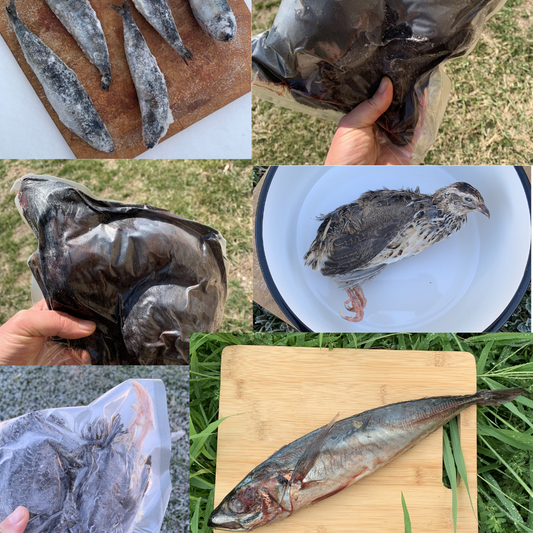 Whole Prey Variety Box + Free Shipping