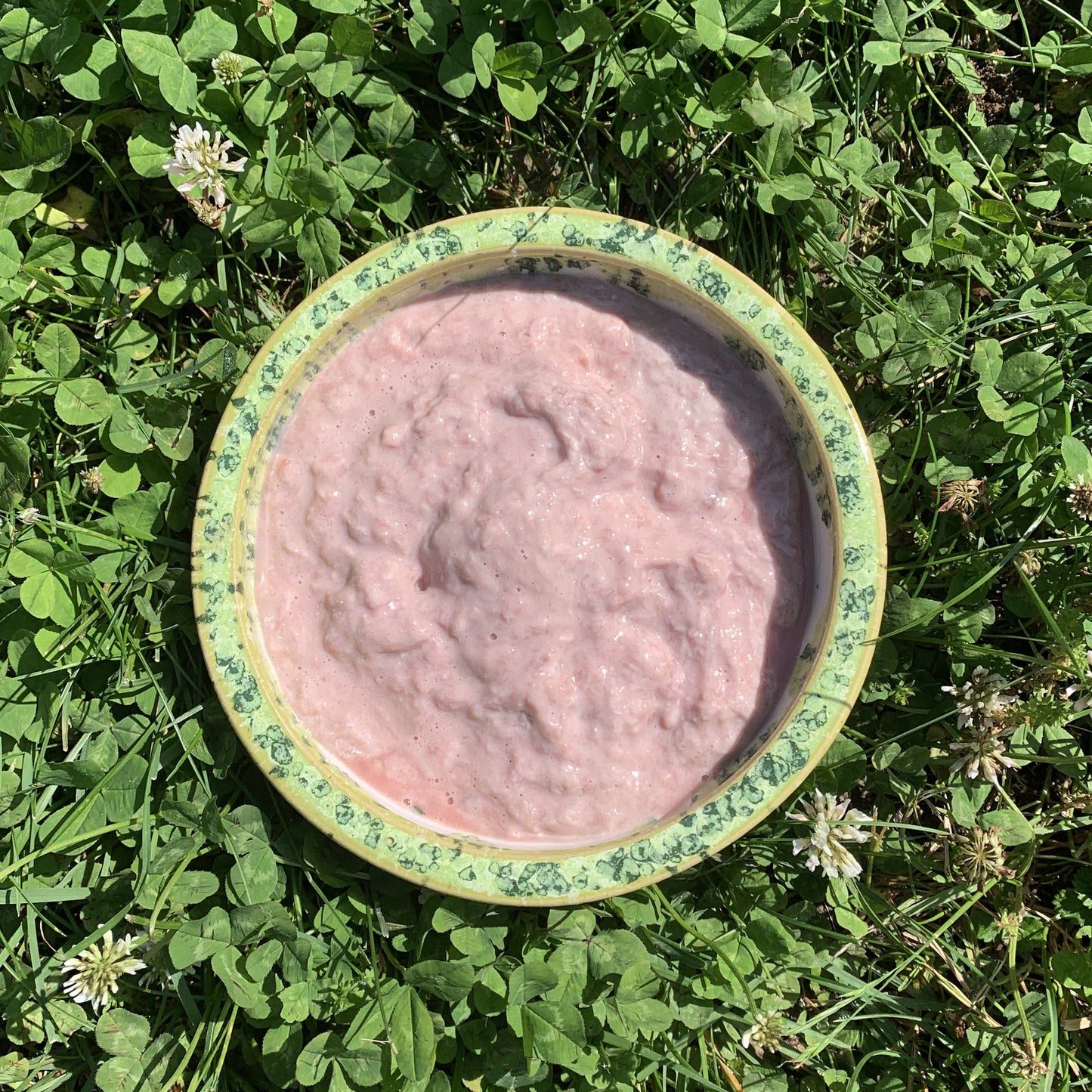 Ground Goat Pancreas-1 LB.