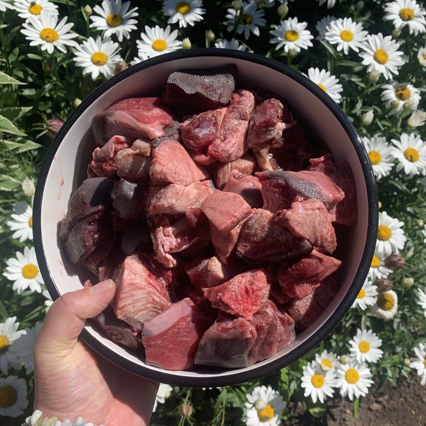 Beef Tongue Chunks-3 LB.