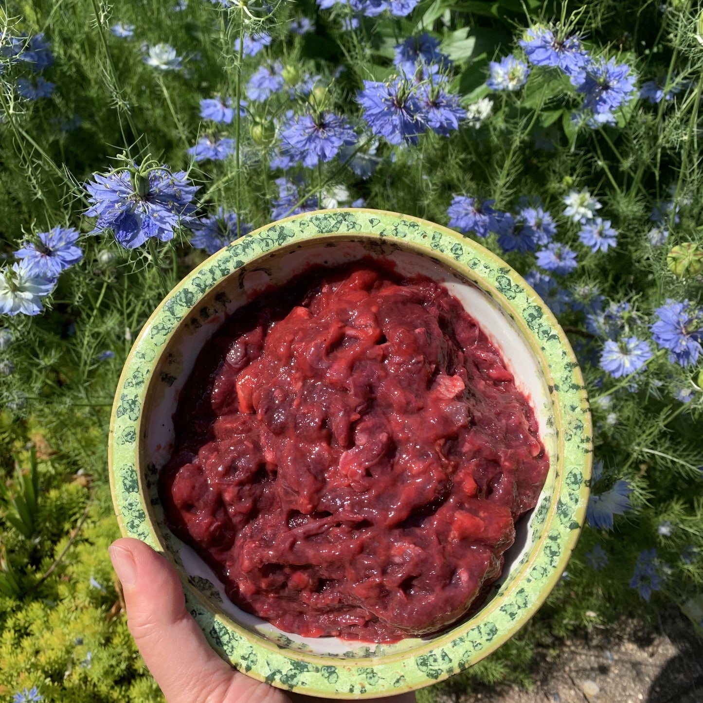 Ground Lamb Spleen-1 LB.