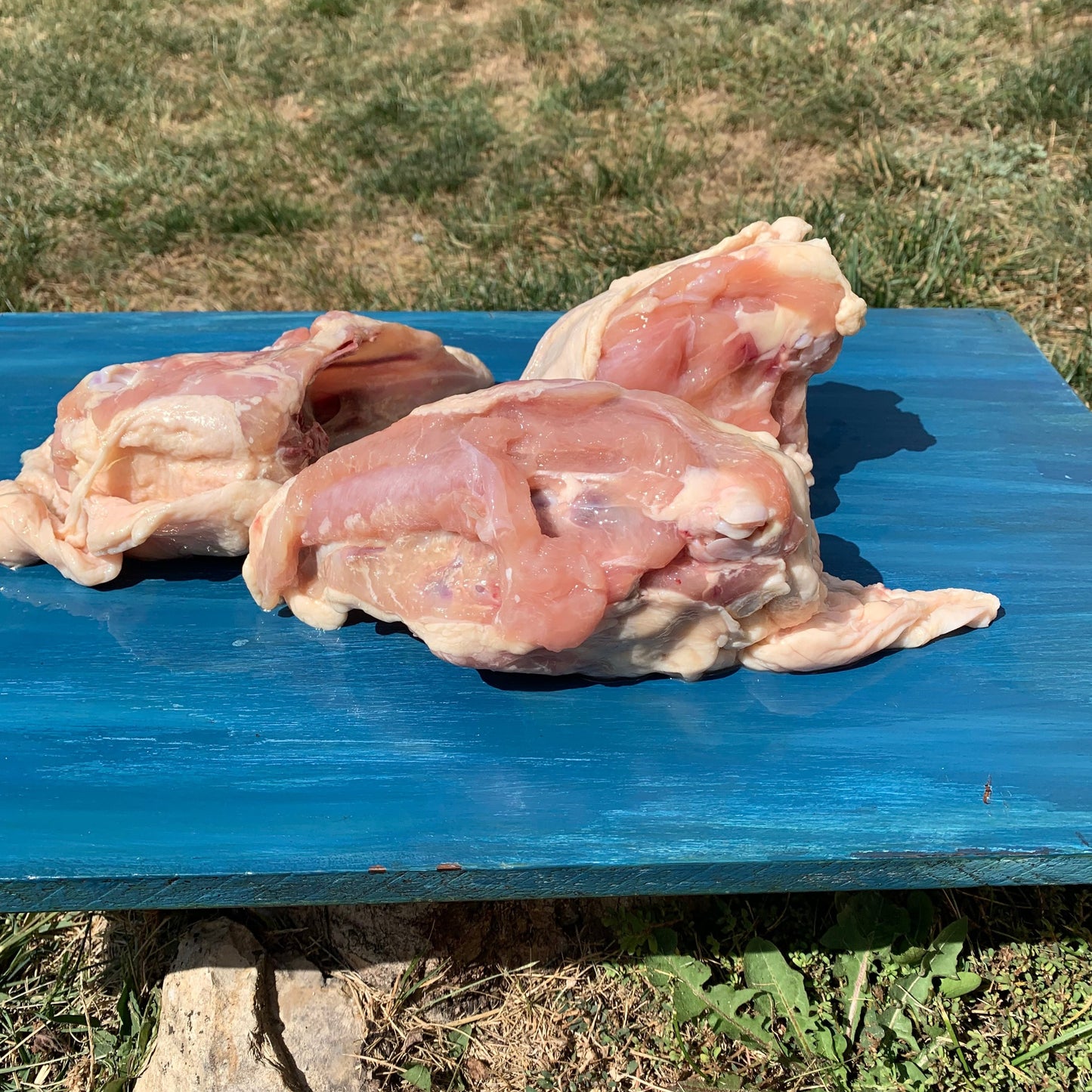 Chicken Frames/Backs - 3 Pack