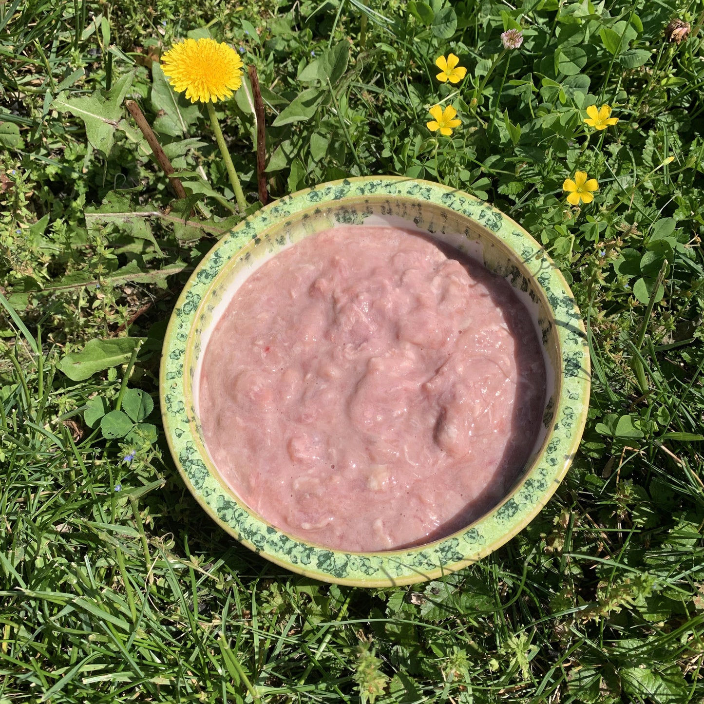 Ground Lamb Pancreas-1 LB.