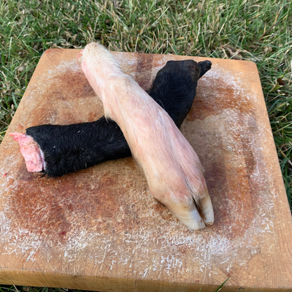 Lamb Trotters with Hide & Hoof - 2 pack