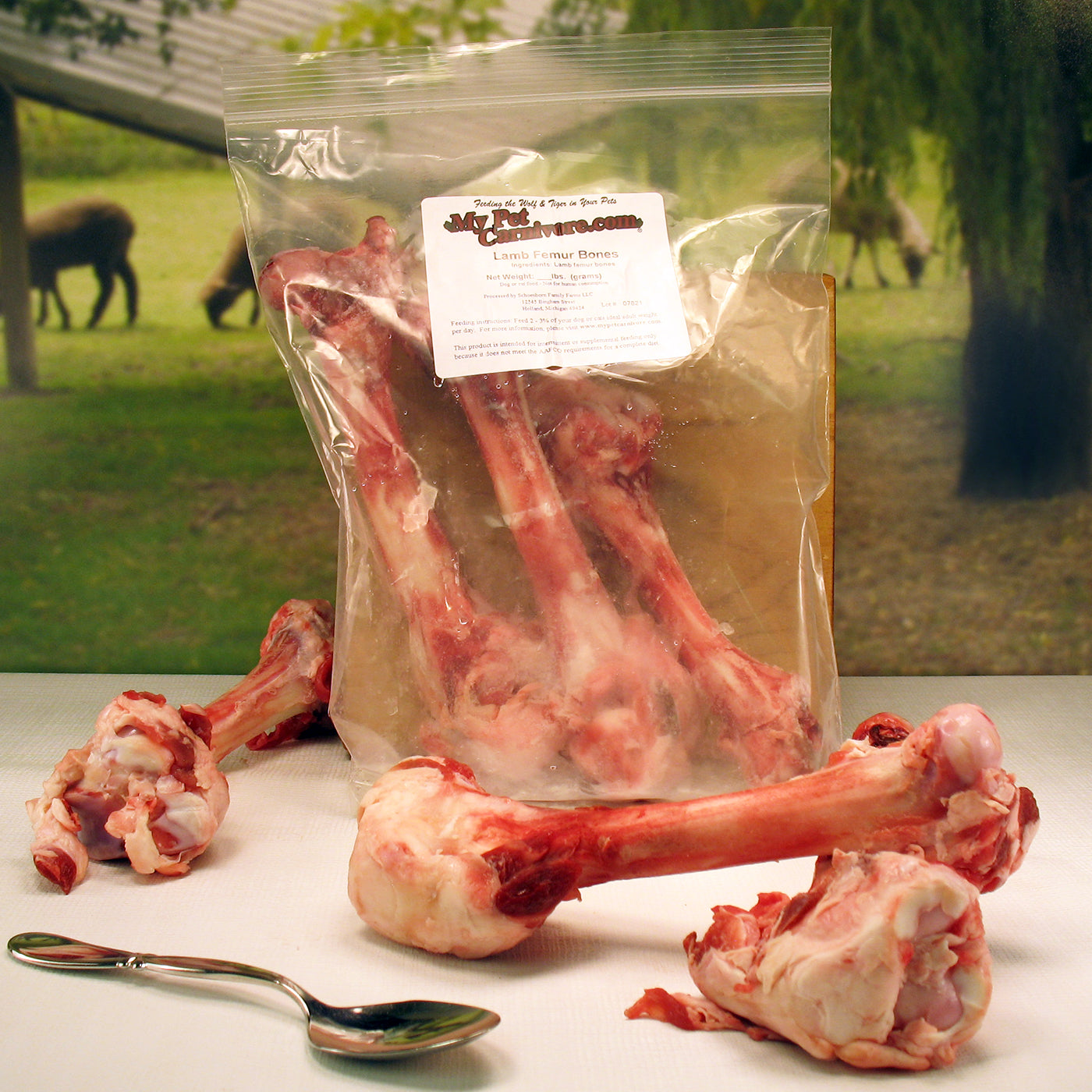 Lamb Femur Bones-3 pack